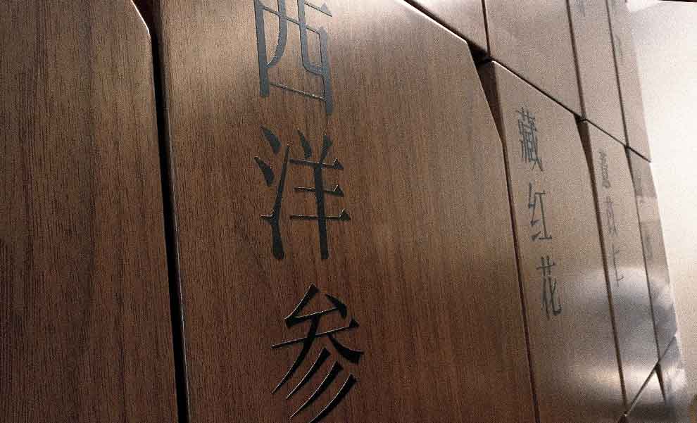 形神共生·悅己歸心